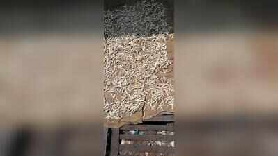 Filth, lack of CCTV raise safety concerns at State Bank bus stand ...