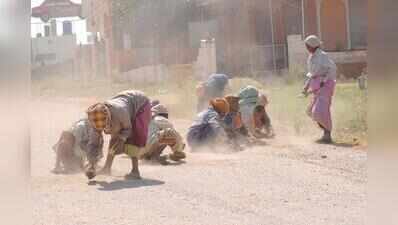 Amid drought, state sees 19% rise in rural jobs