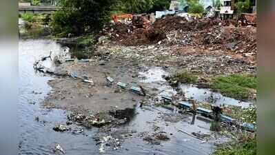 NGT flays Avadi corpn; orders it not to contaminate Cooum