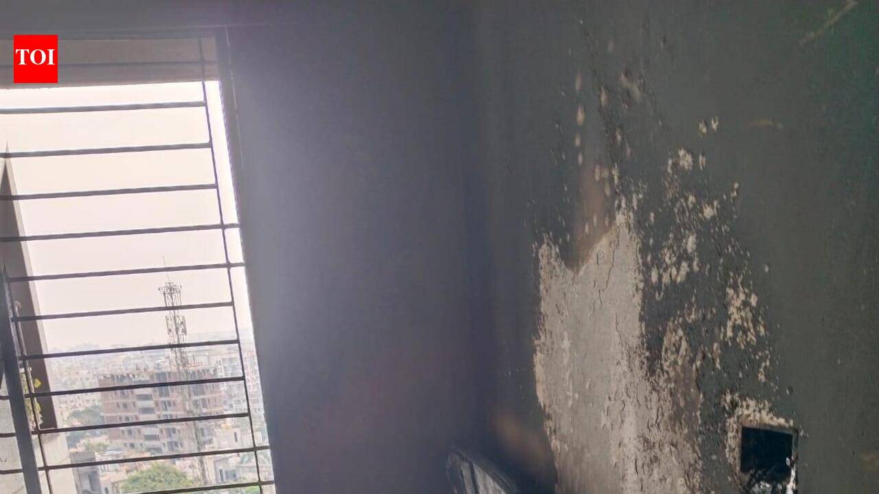 Twin blazes & fallen tree keep fire brigade on toes | Nagpur News - The ...