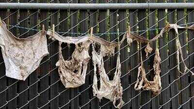 In 2021, 1,000 Swiss volunteers buried 2,000 pairs of underwear; Ontario farmer tested soil health on his 500-acre farm from 2015 to 2025; study finds cotton decomposes fastest in gardens, slowest on lawns