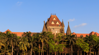 Is there govt scheme to help pregnant minor rape survivors become self-reliant?: Bombay HC to Maharashtra govt