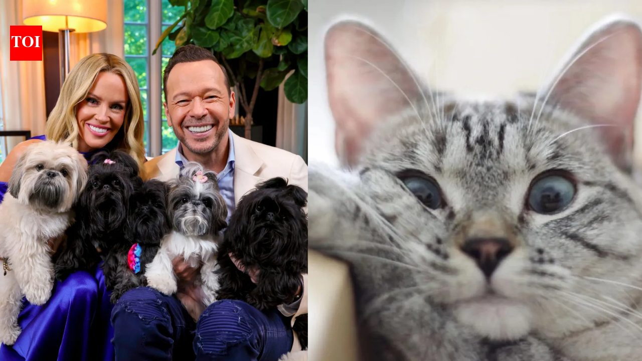Jenny McCarthy co-hosted a pet contest; raised $8 million for 25-acre centre