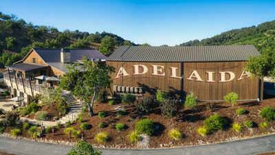 A California winery founded in 1981 faces an October 15 buyer deadline after a $12.7 million judgment and Chapter 11 case; court filings put a sale at $3.8M-$6.7M versus $1.4M-$2.8M in liquidation