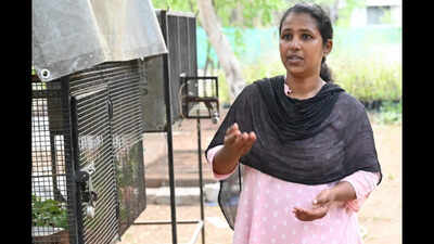 Kovai Heroes: This woman has helped scores of birds get a second chance in sky