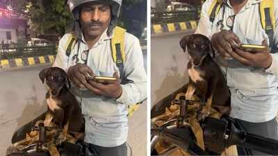 Blinkit delivery riders rescue injured puppy after road accident, give it a home at warehouse; internet says ‘This is so precious’