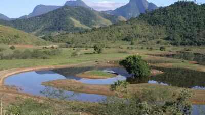 Brazil plants 840,000 trees to restore 607 hectares of Atlantic Forest and reconnect wildlife habitats after 20 years of conservation