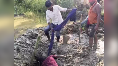Mother plants mango sapling over burial spot to conceal daughter’s body; police exhume remains