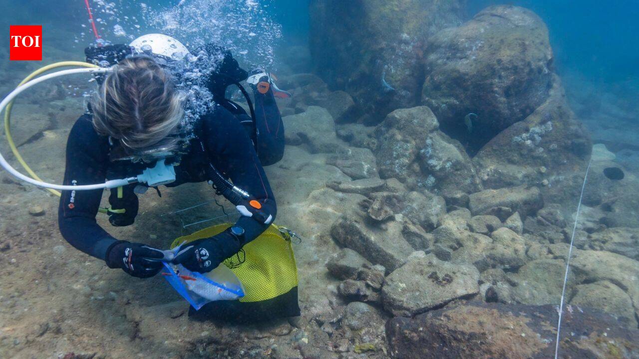 Archaeologists discover at least 9,000-year-old underwater sites in Australia with stone tools