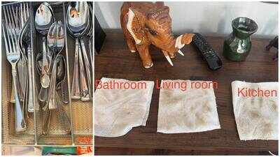 Michigan woman Kimberly Kemper seeks $250 refund after $350 deep clean, alleging dirty dishes, untouched walls and baseboards; cleaner offered $100 and allegedly failed to return for a promised re-clean