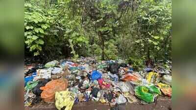 Wet waste piles up, raises stink fear after collection halted for 8 local bodies at Saligao