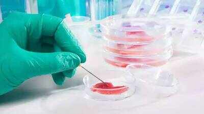 Scientists turn blood-cell precursors from an 80-year-old donor into neural stem cells with epigenetic age below 20; 100-day process reveals cellular rejuvenation could aid aging and Alzheimer's research