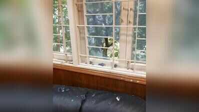 SRFTI rusticates 6 students for assaulting VC, vandalising office