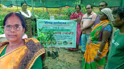 She once worked as a labourer on other people's farms; today Chhabita Pramanik leads 347 self-help groups, supports 500 families and helped build a network of nearly 3,500 women