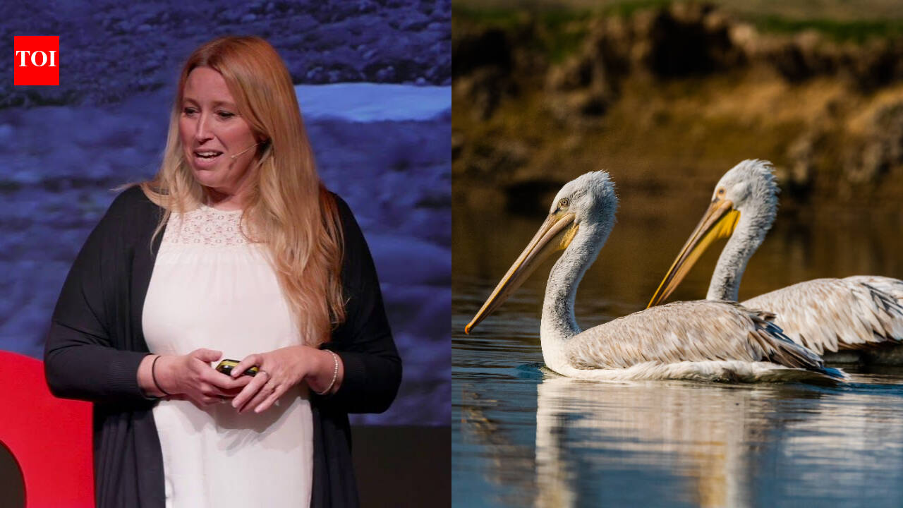 Sacha Dench: ‘Human Swan’ wins 2026 RSPB medal for lead ammunition ban