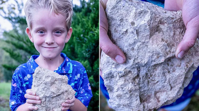 A 6-year-old Nebraska boy found a rare 200-million-year-old marine fossil that had not been recorded in the state for more than 55 years