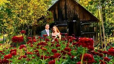 A Maine couple grew their own wedding flowers in a 30-by-50-foot backyard garden after estimating florist costs could reach $5,000