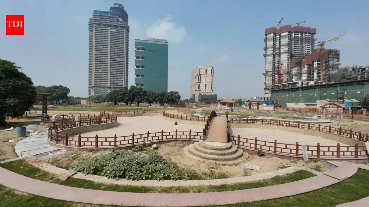 Noida's Rs 14-crore Japanese Park targets December 15 opening with Zen gardens, dragon-shaped swings and waterfalls; here's what to expect at the nine-acre nature-inspired retreat