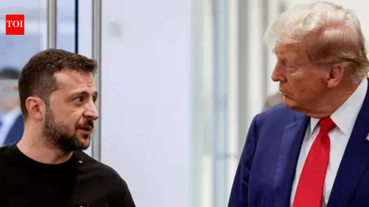Trump calls Ukraine attack on Russian oil refineries 'a disgrace', irks Zelenskyy