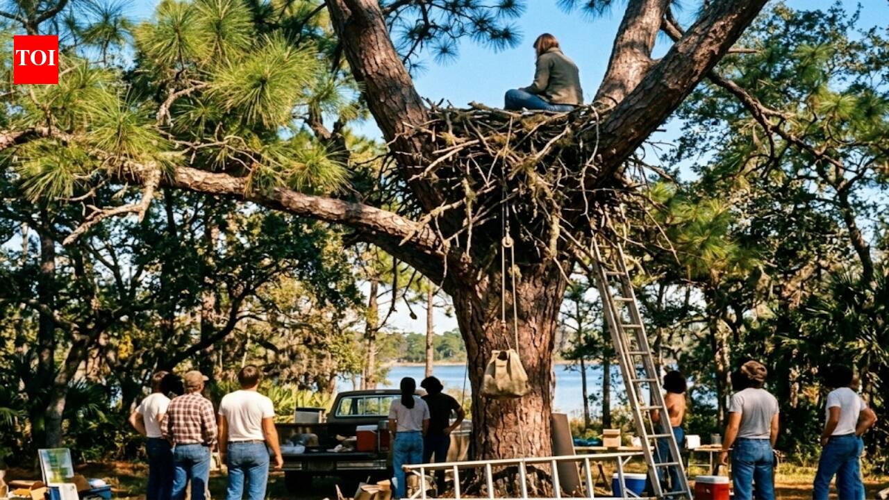 In 1979, a Florida woman spent a week in a 50-foot eagle’s nest; her stunt helped fund a raptor centre that had released 620+ rehabilitated bald eagles by 2019