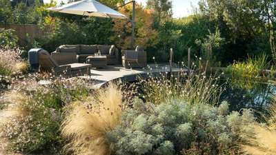 A Buckinghamshire wildlife garden redesigned around an unheated natural ...