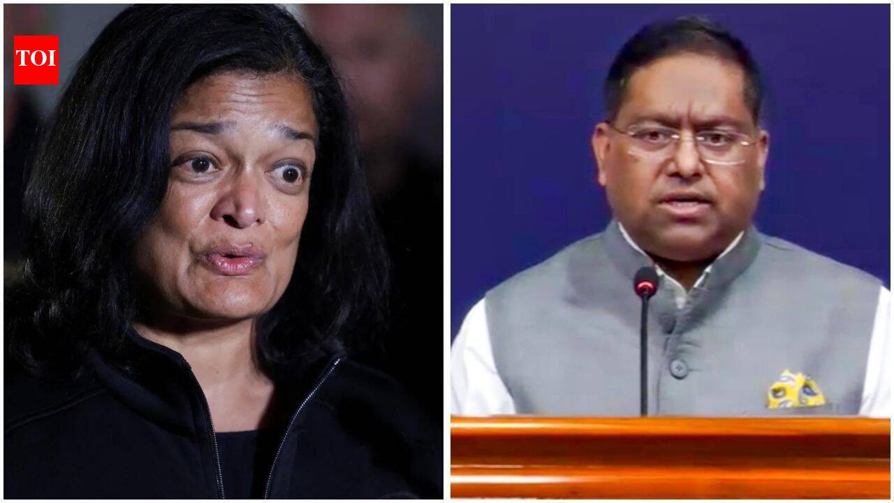 India pulls up US lawmaker for 'unwarranted & uninformed' claims on voter roll deletions