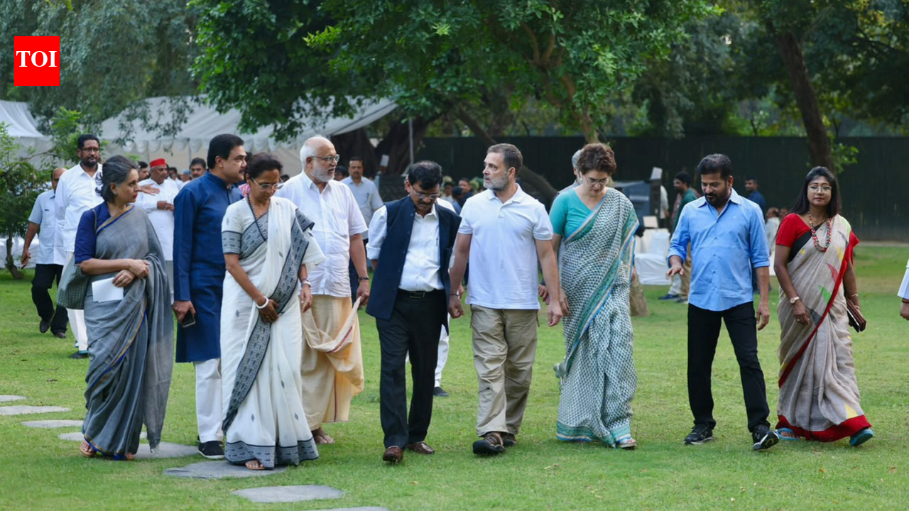 SIR protests: Opposition has found common ground. But can it stay united?