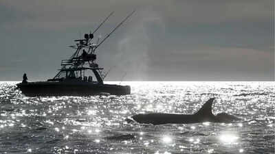 Marine experts call for satellite-based decision support system for sustainabler fisheries amid climate crisis