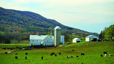 A Pennsylvania woman lived on a 60-acre family farm for 22 years, then agreed to sell it for $250,000 with a proposed 99-year lease letting her stay; an appeals court kept the sale blocked after her siblings objected