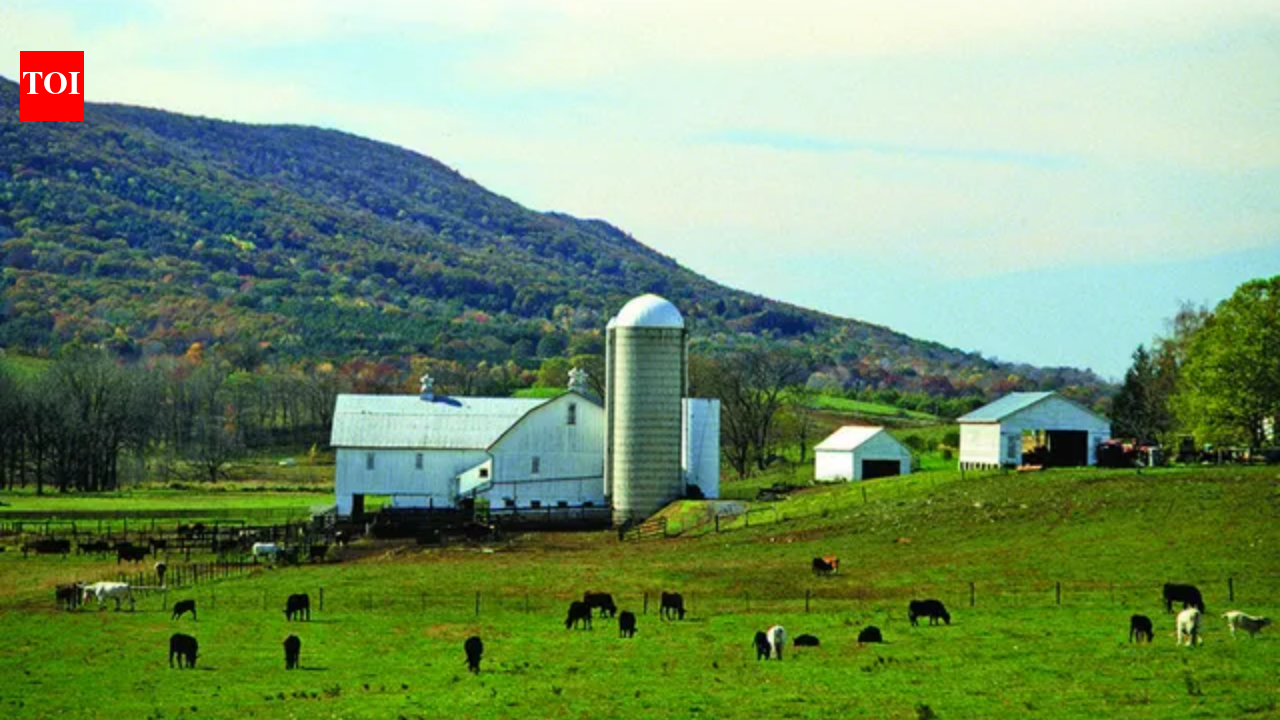 Pennsylvania court blocked a $250,000 farm sale after siblings challenged a 99-year lease deal