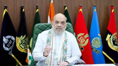 HM Shah slams Punjab govt on murders of anti-drugs crusaders, MHA seeks report on 3 recent cases