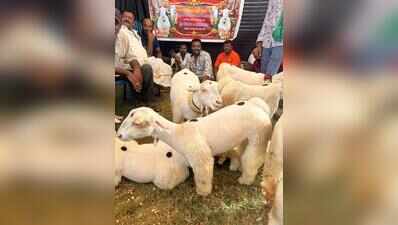 At Raitha Dasara, govt showcases tech to boost fish yield