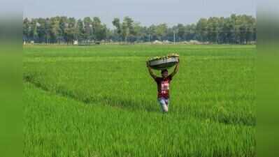 Telangana accounts for half of India’s rabi paddy acreage