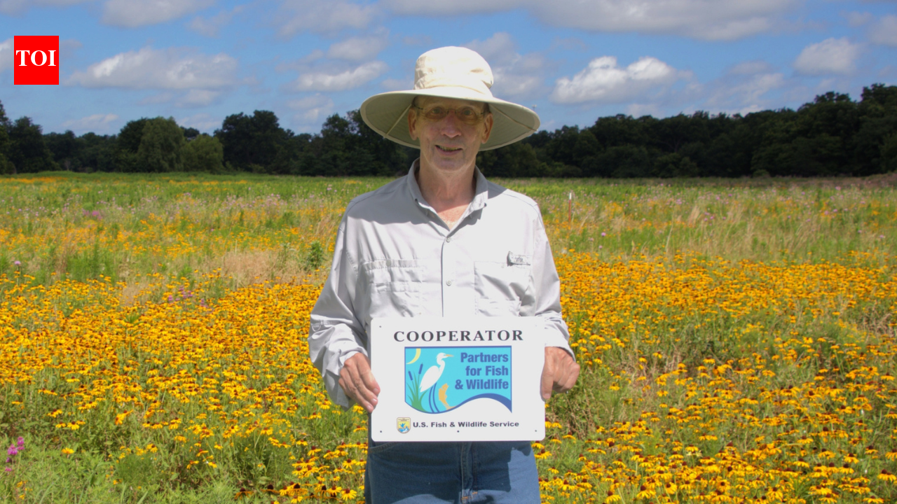 He saw the butterflies vanishing, so he turned his family farm into a 'haven' to save them.