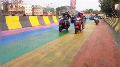 IIT expert roped in to assess flyover paint risk