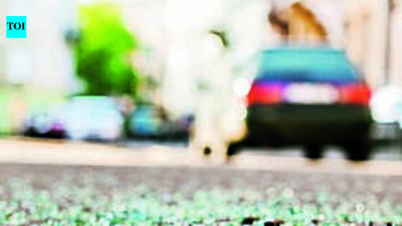 Gujarati-origin store owner held in Florida for allegedly running over teenager