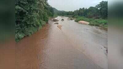 Heavy rain lashes western and southern Tamil Nadu, Cauvery delta farmers say rains inadequate