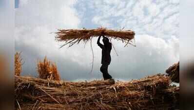 Pune district completes 80% crop-loss panchanamas; farmers struggle with geotagging