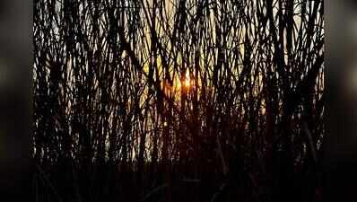 Mercury dips to normal, showers may bring further relief