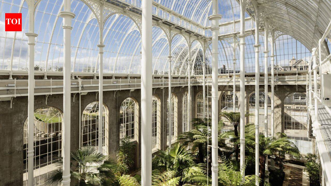 Edinburgh's historic Palm Houses reopen after a £23.5m restoration replaced 5,750 panes of glass