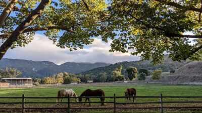 In 2022, a California owner agreed to a discounted $10 million sale of 402 acres despite approvals for 500+ homes; four years later, a land trust sued to stop permanent roads and utilities inside the preserve