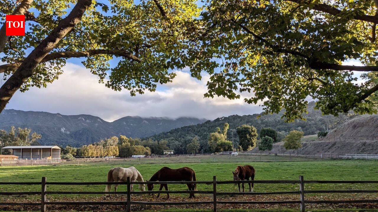 California land trust sues to block roads across a 402-acre preserve saved from housing development