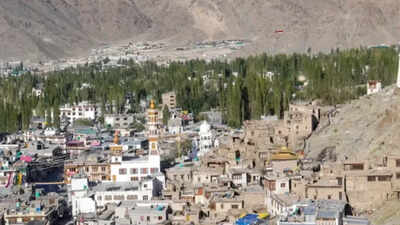Centre deviating from assurances, say Ladakh groups