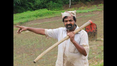 Cheruvayal Raman, the Padma Shri-winning tribal farmer, passes away at 74: Who was he, who spent his life protecting more than 45 endangered native rice varieties without any formal education