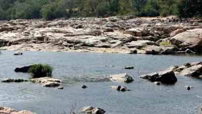 Karnataka reservoir storage down 30% as water crisis looms