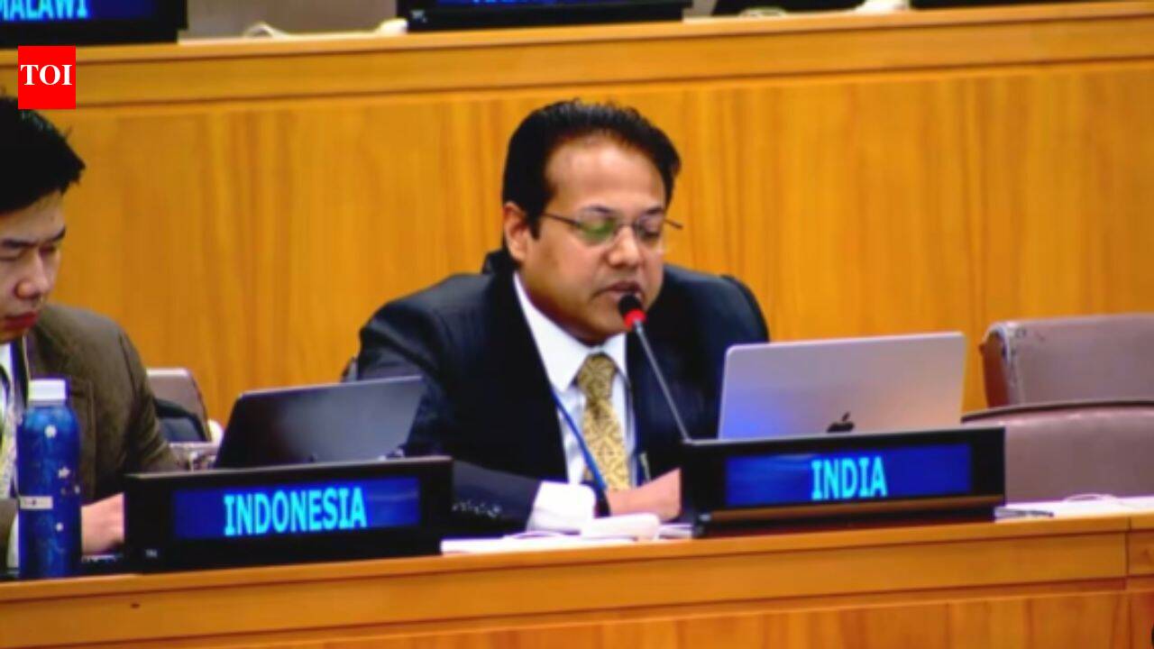 'Verify before she vilifies': India rejects UN rapporteur's claims on youth protests