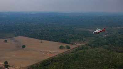 Brazil's Amazon deforestation hits record low: Why it matters amid election battle