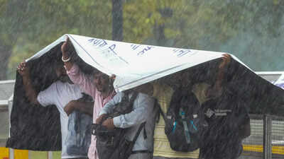 Weather tomorrow: Very heavy rain likely in Tamil Nadu, Puducherry; Delhi to remain dry as thunderstorms, gusty winds lash south India