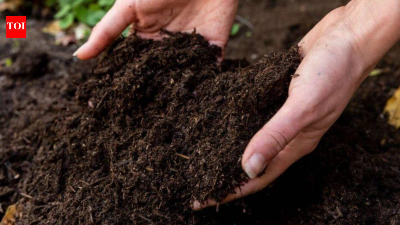 MP's Kymore soil tests under scrutiny in asbestos case