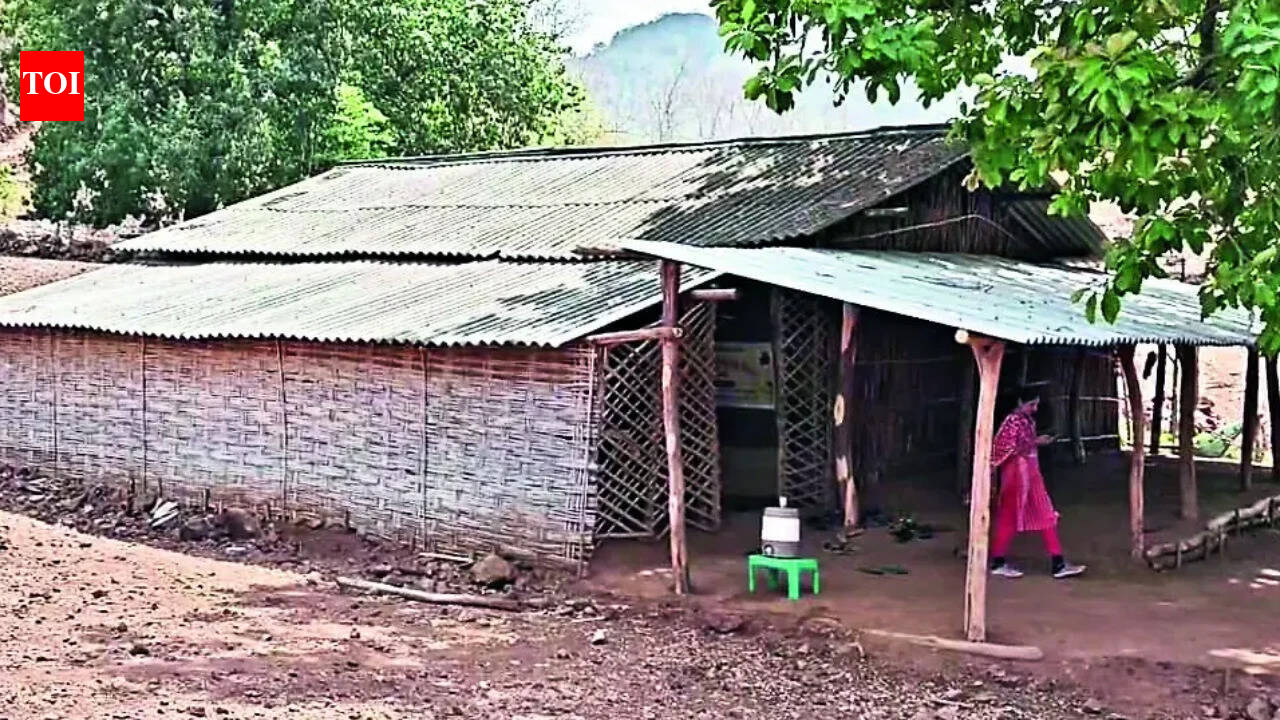 Nagpur teen gets classmate pregnant, turns to YouTube for abortion remedies, failed attempt ends in home delivery; boy held, charged with rape